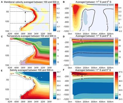 Influence of Salinity and Temperature Gradients on the Variability of the North Brazil Undercurrent